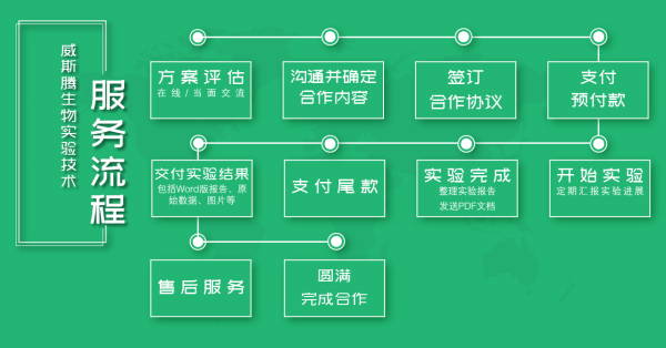 威斯腾生物服务流程.jpg